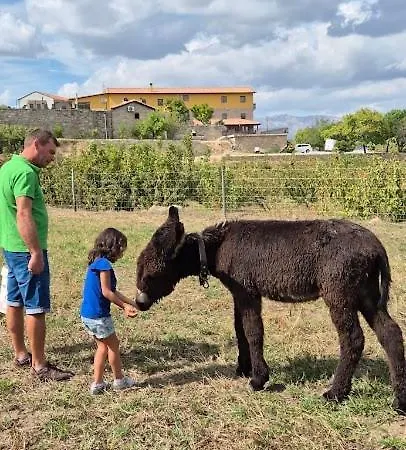 Quinta Do Limite - Em Exclusividade Villa Covilhã