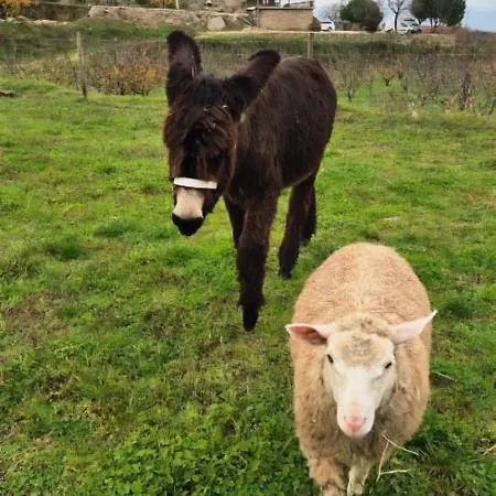 Quinta Do Limite - Em Exclusividade *