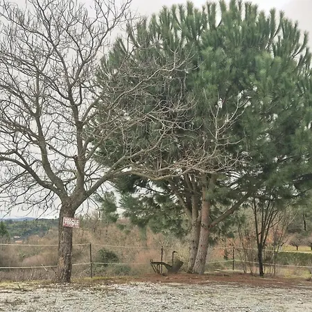 Quinta Do Limite - Em Exclusividade *