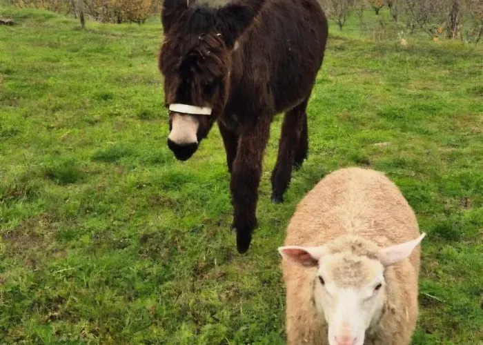 Quinta Do Limite - Em Exclusividade *