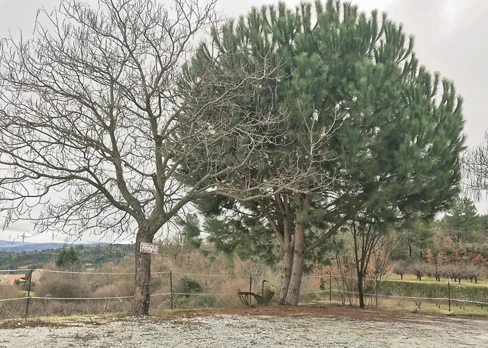 Quinta Do Limite - Em Exclusividade *